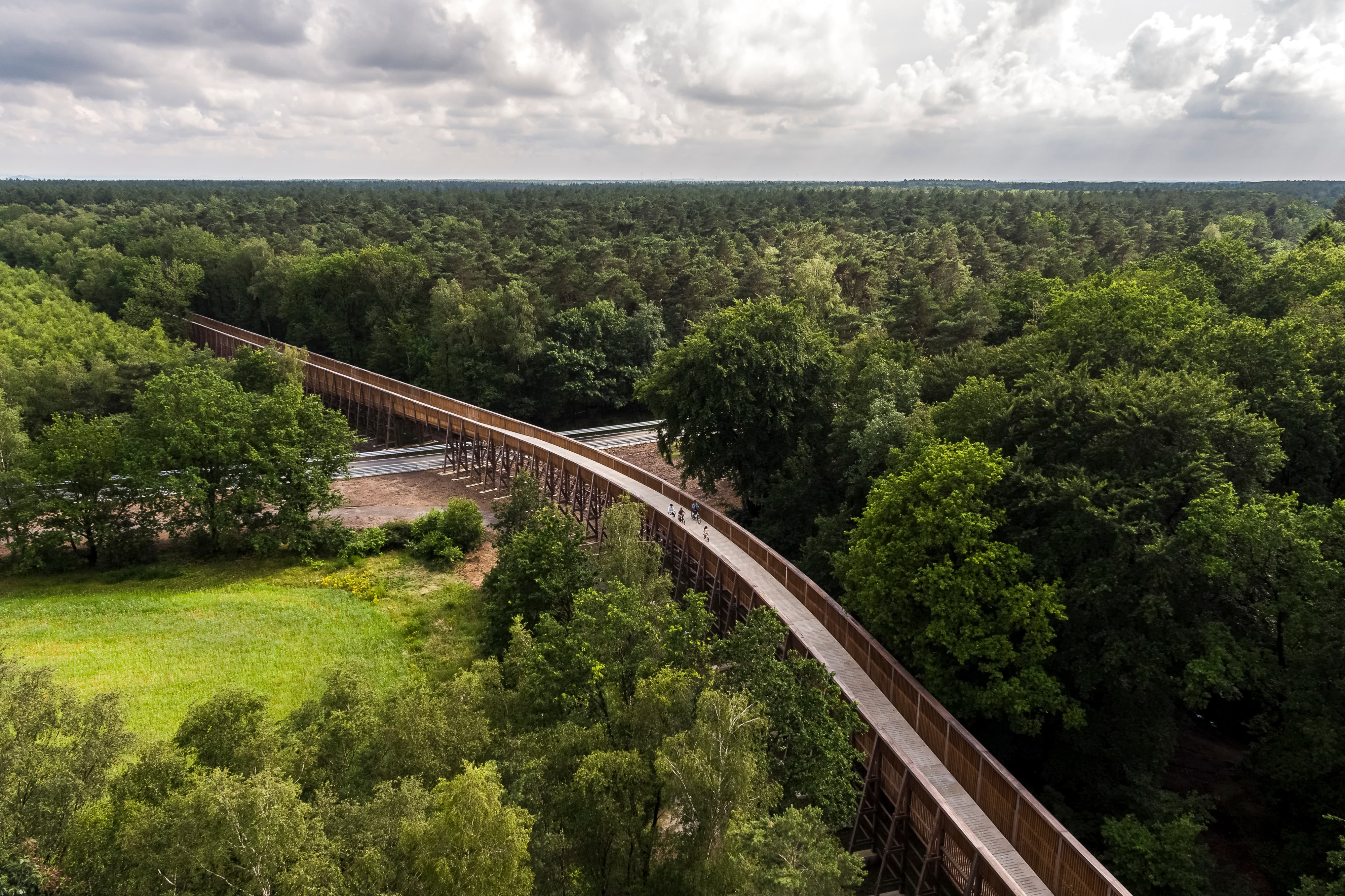 Fietsen door de Heide